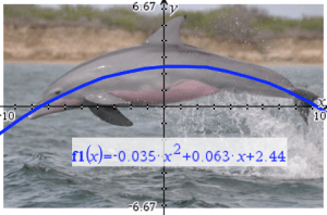 Mathematics has so many uses, including modeling the beautiful arcing leap of a bottlenosed dolphin! Image ©2009 by David E. Shormann.