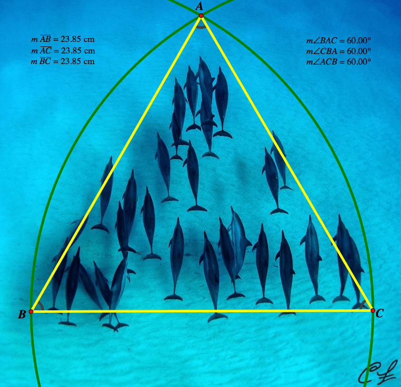 Screen Shot 2015-05-12 at 9.58.04 AM